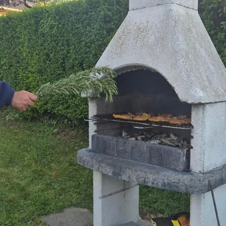 Bazsarozsa