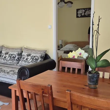 Apartman Bazsarózsa